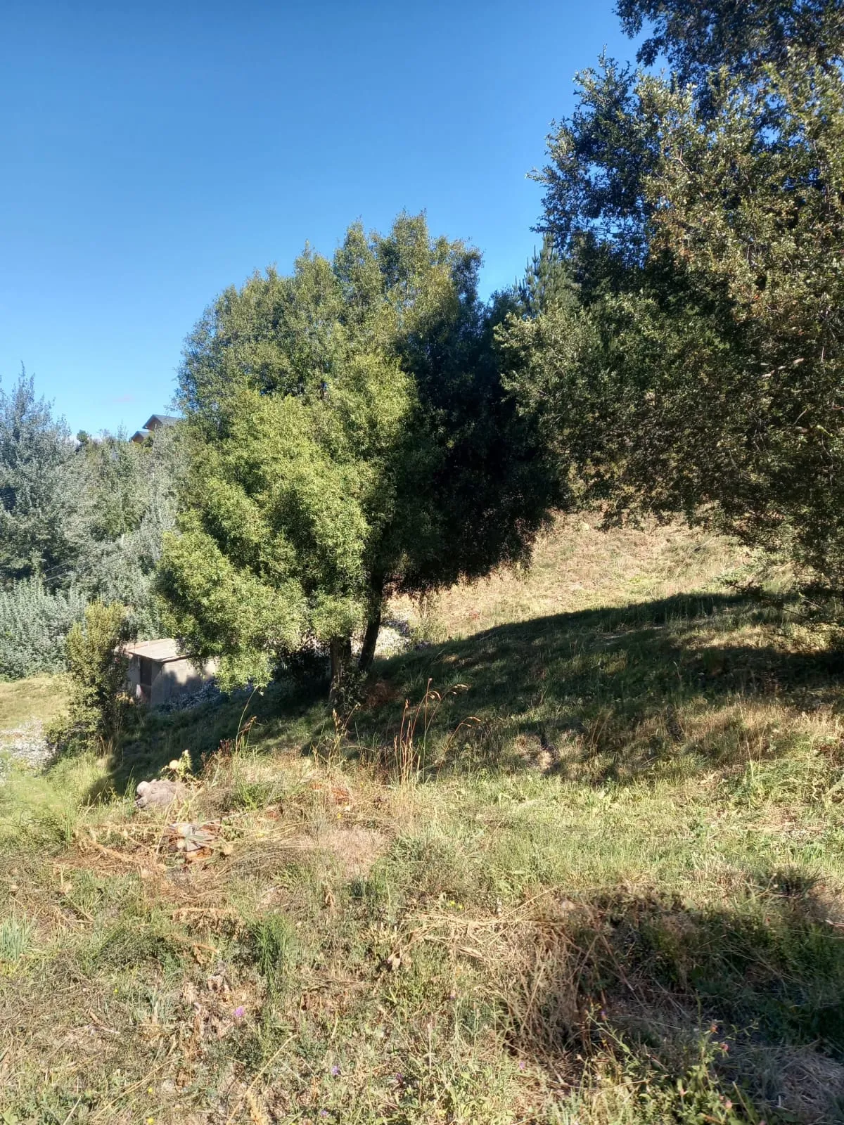 Lote en Venta en Barrio Alihuén – San Martín de los Andes - 3