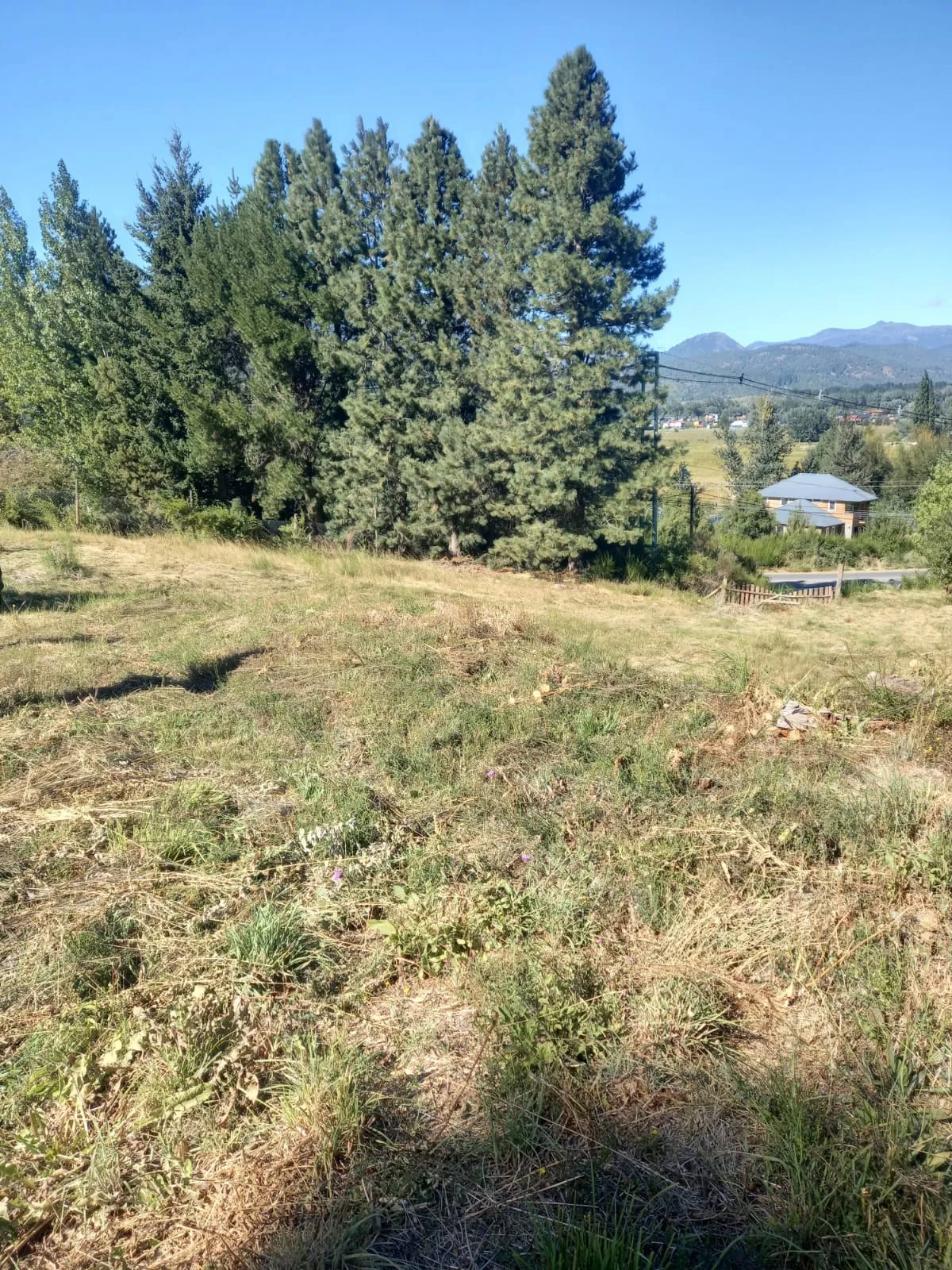 Lote en Venta en Barrio Alihuén – San Martín de los Andes - 4
