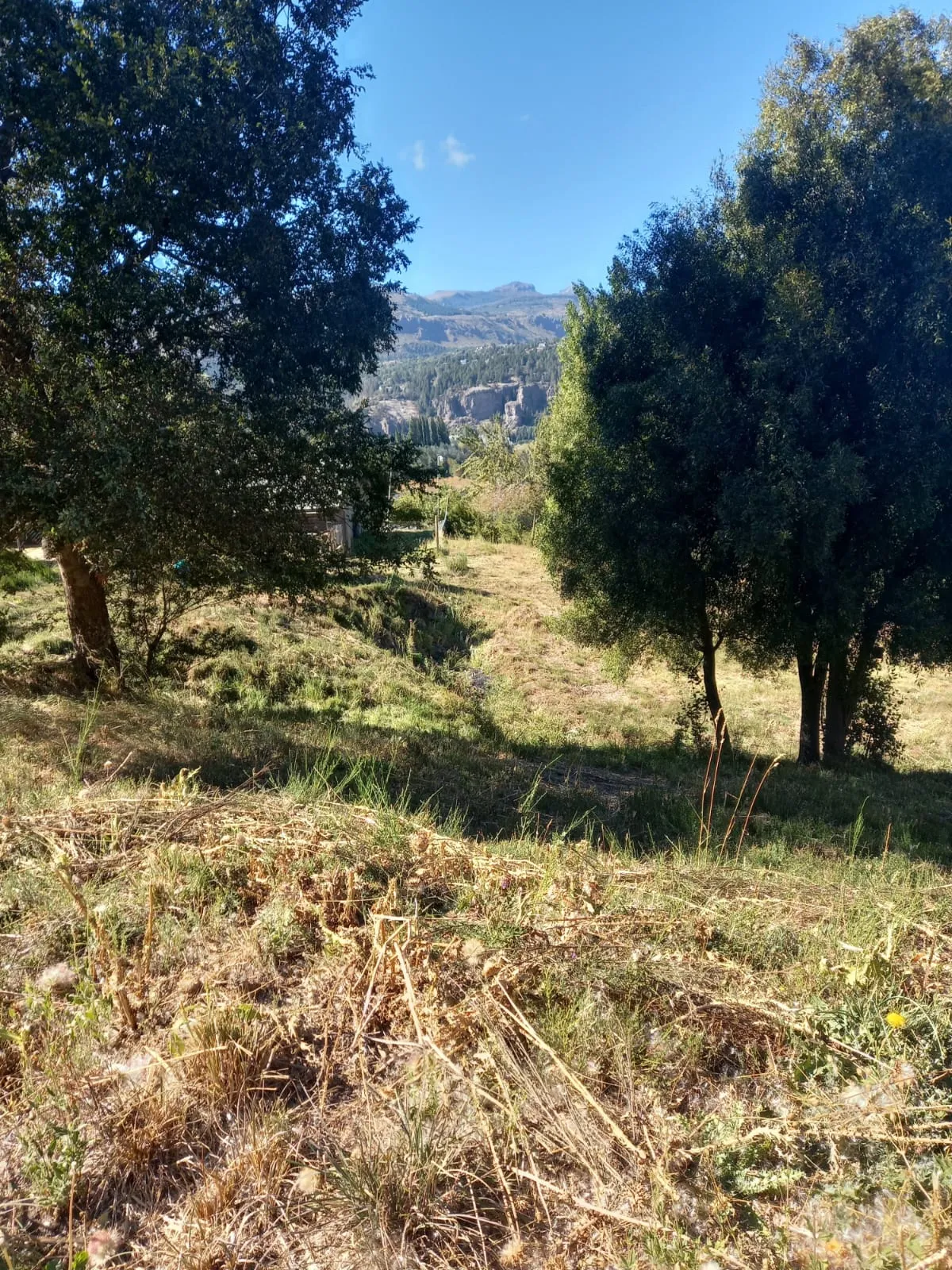 Lote en Venta en Barrio Alihuén – San Martín de los Andes - 2