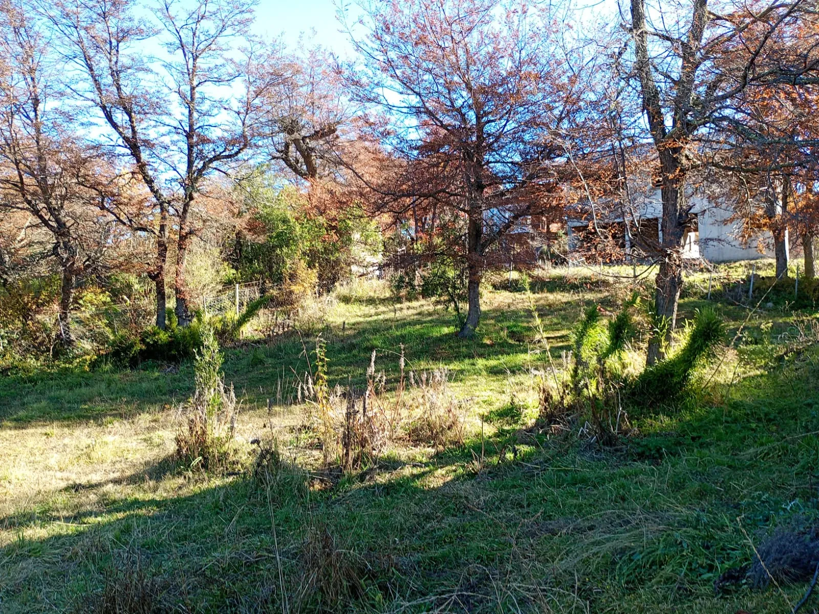 Lote de 900 m² en Caleuche – San Martín de los Andes - 3