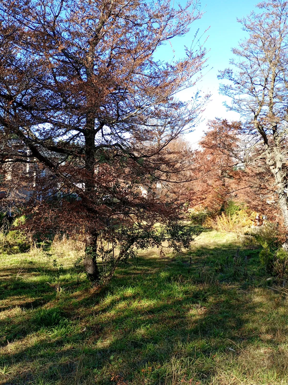 Lote de 900 m² en Caleuche – San Martín de los Andes - 5