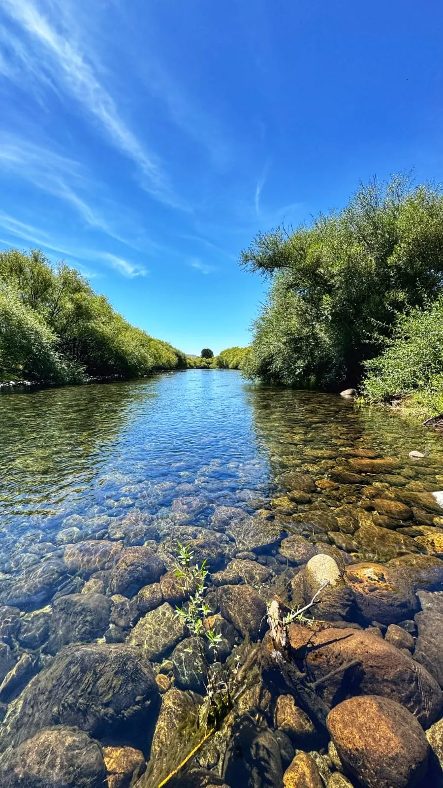 Loteo exclusivo de San Martín de los Andes – Naturaleza y tranquilidad - 5